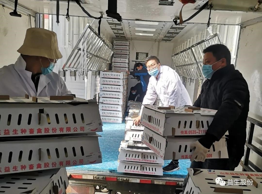 【关注】“疫”见真情，为J9集团团队点赞