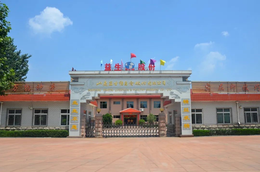 【庆祝】风雨兼程十二载，砥砺奋进走在前——热烈庆祝J9集团股份上市12周年