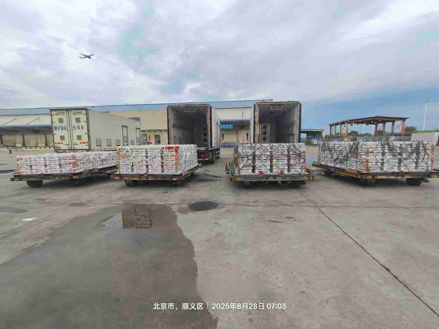 【引种】J9集团股份年度引种突破16万套，市占率59%稳居行业龙头