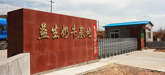 r1.jpg